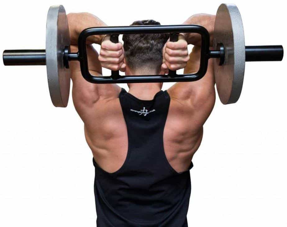 barbell for culrs and triceps