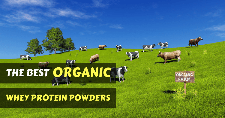 best-organic-whey-protein-powders