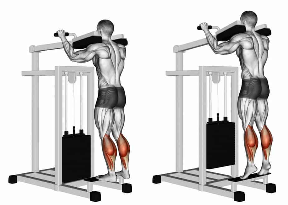The Benefits Of Standing Calf Raises And How To Do Them