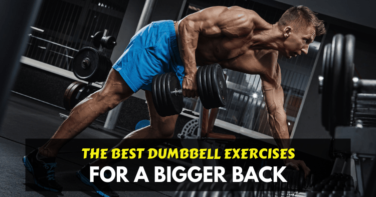 Easy Dumbbell Back Exercises
