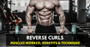 reverse curls