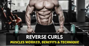 reverse curls