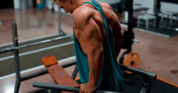 dip bar exercises for beginners